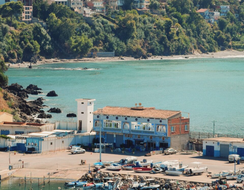 Vue d'ensemble du marché de l'IA Algérie, illustrant le déploiement des solutions numériques.